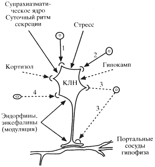 Кислородный пилинг от миша Кислородный пилинг от миша